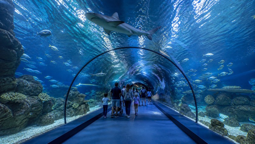 Antalya Aquarium iç mekan
