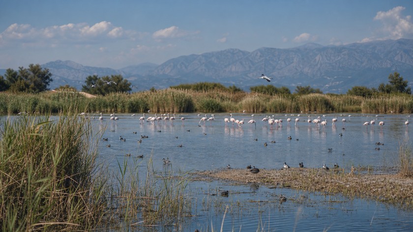 Serik Gezilecek Yerler: Aspendos, Belek ve Doğa Durakları