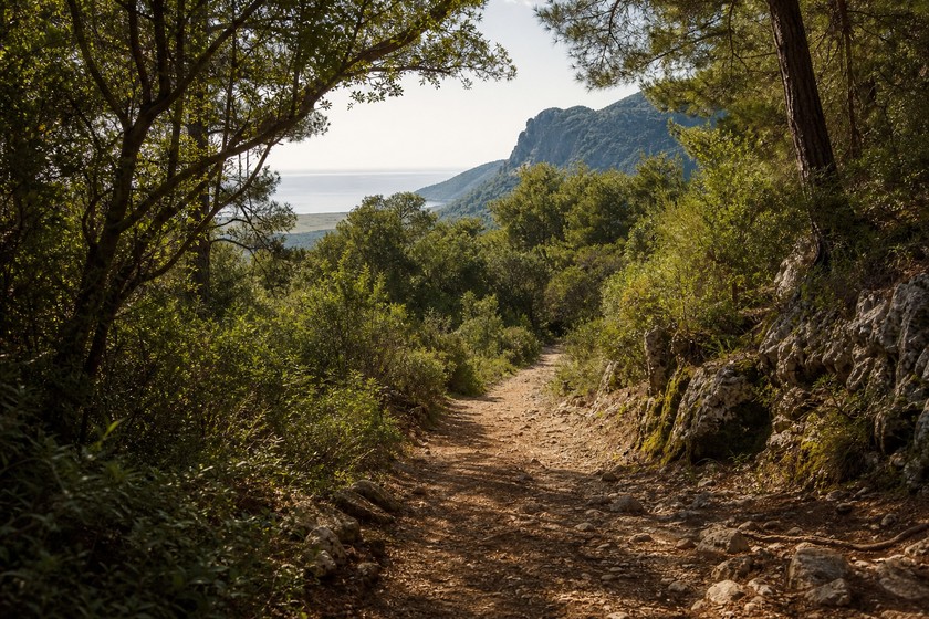 Olympos ve Çıralı çevresindeki ormanlık rota atmosferi