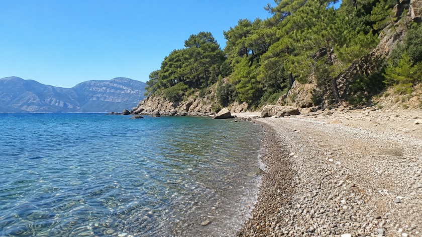 Alacasu Koyu'nda kıyı zemini ve deniz