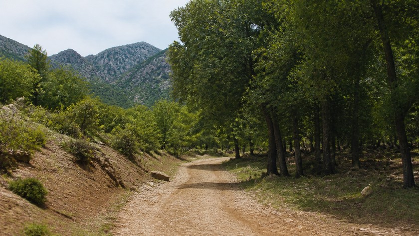 Kırkgöz Han yaklaşım yolu ve çevre peyzajı