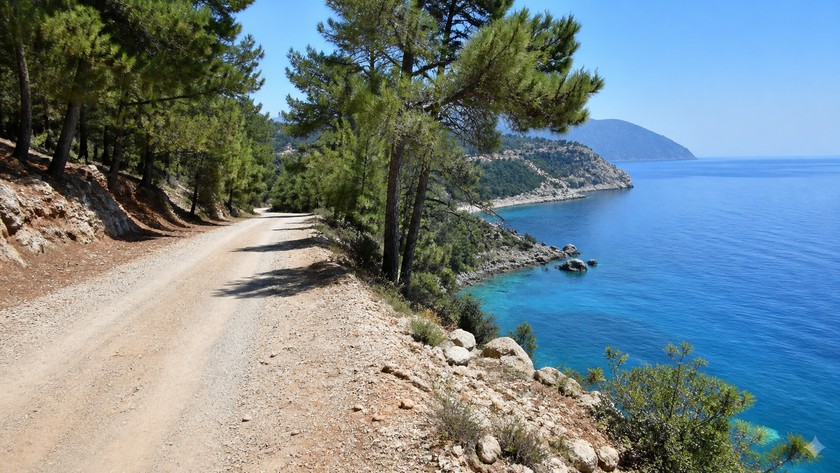 Korsan Koyu çevresinde çamlık doğal yol