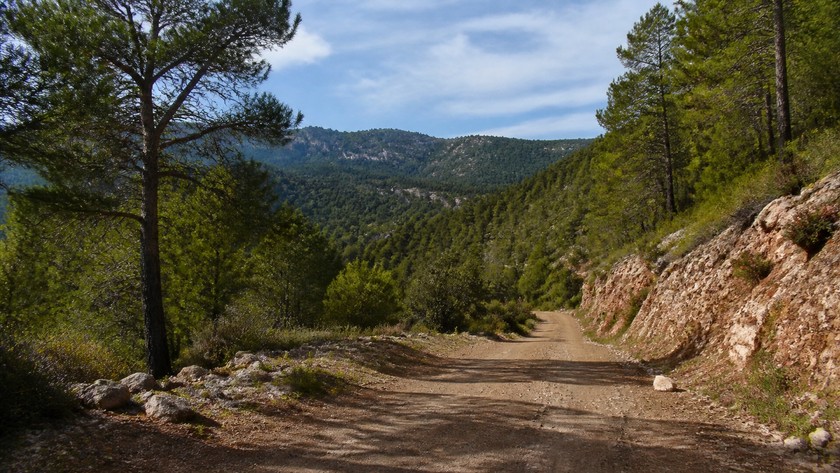 Lyrbe çevresi orman yolu ve doğal yaklaşım peyzajı
