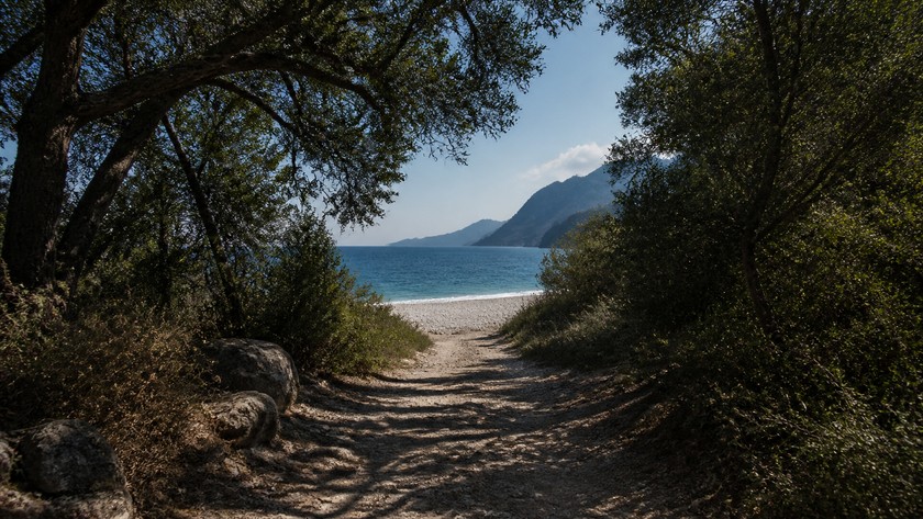 Olympos yerleşiminden kıyıya uzanan ağaçlıklı rota