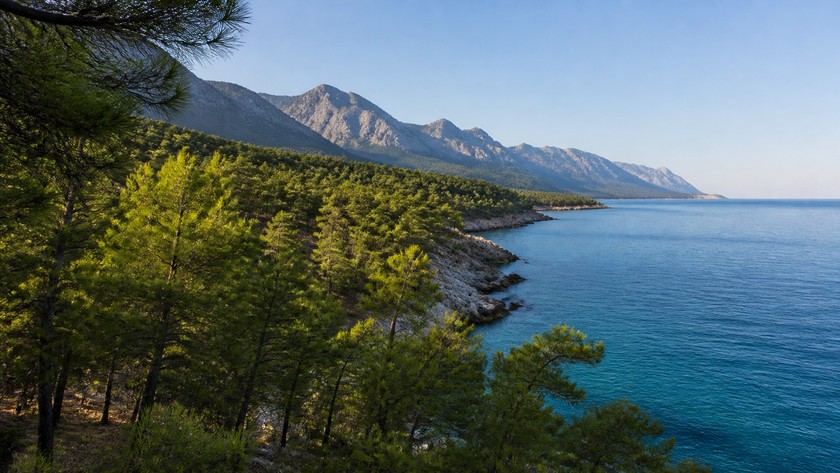 Sarısu Mesire Alanı Rehberi: Konyaaltı'nda Plaj, Orman ve Ziyaret Notları